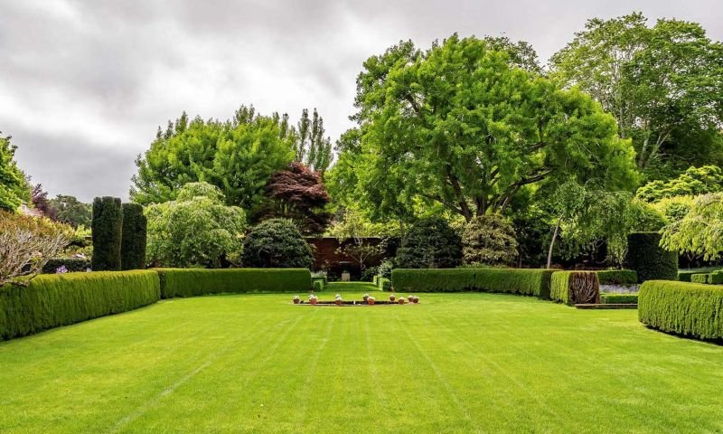 Grünflächenbetreuung von bgn Reinigungsservice Wien, Niederösterreich