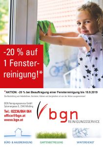 Bgn Fensterreinigungsaktion 2019